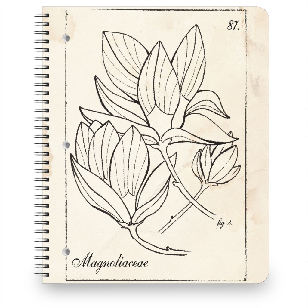 Vintage Plate Magnolia Sketch - Beige and Black Notebook, 8.5x11, Beige