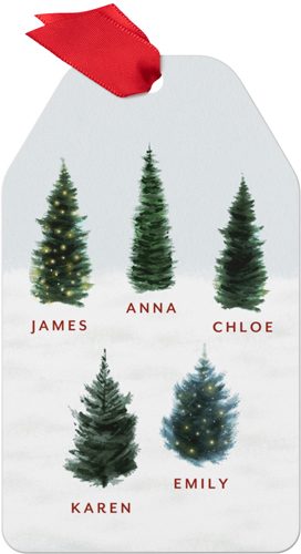 Family of Five Evergreens Metal Ornament, Gray, Gift Tag