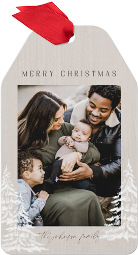 Winter Wonderland Metal Ornament, White, Gift Tag, white