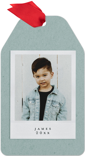 Film Frames Metal Ornament, Green, Gift Tag, mantis