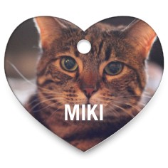 photo gallery heart pet tag
