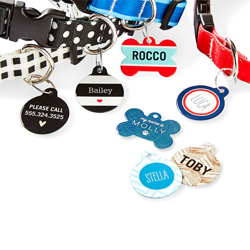 Hello My Name Is Dogbone Pet Tag Pet Tags Shutterfly