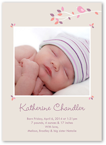 baby arrival announcement cards