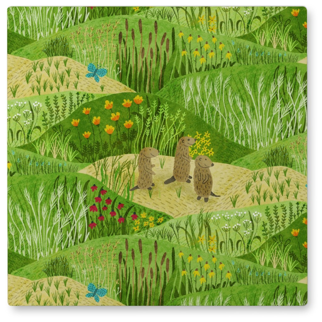 Prairie Dogs on the Prairie Photo Tile, Metal, 8x8, Green, Classic Green