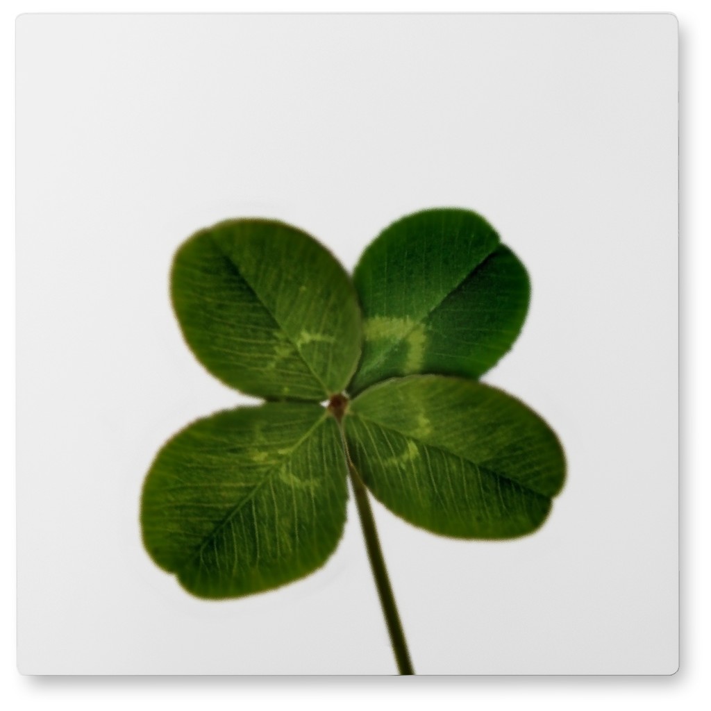 Four Leaf Clover - Green Photo Tile, Metal, 8x8, Green, Classic Green