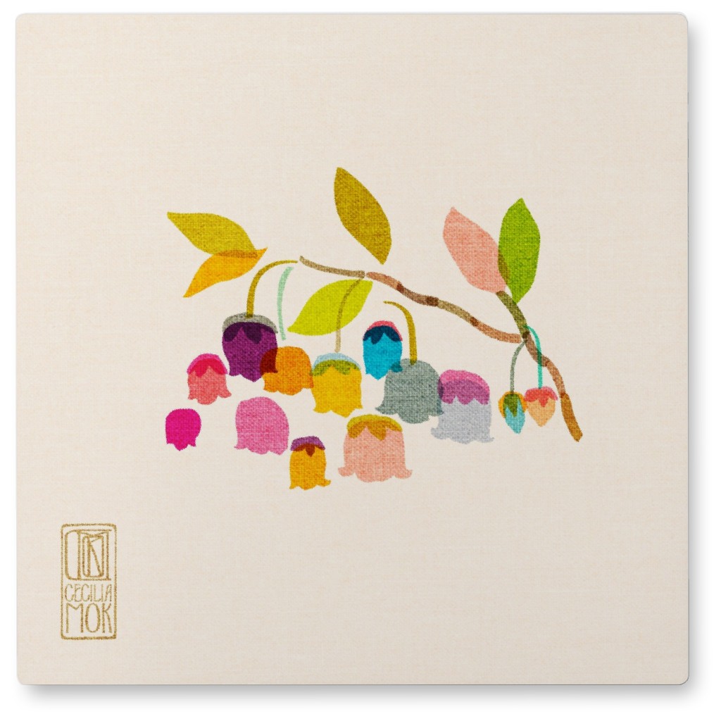 Zenobia - Multi Bright