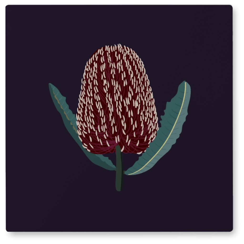 Banksia Floral - Black Photo Tile, Metal, 8x8, Black