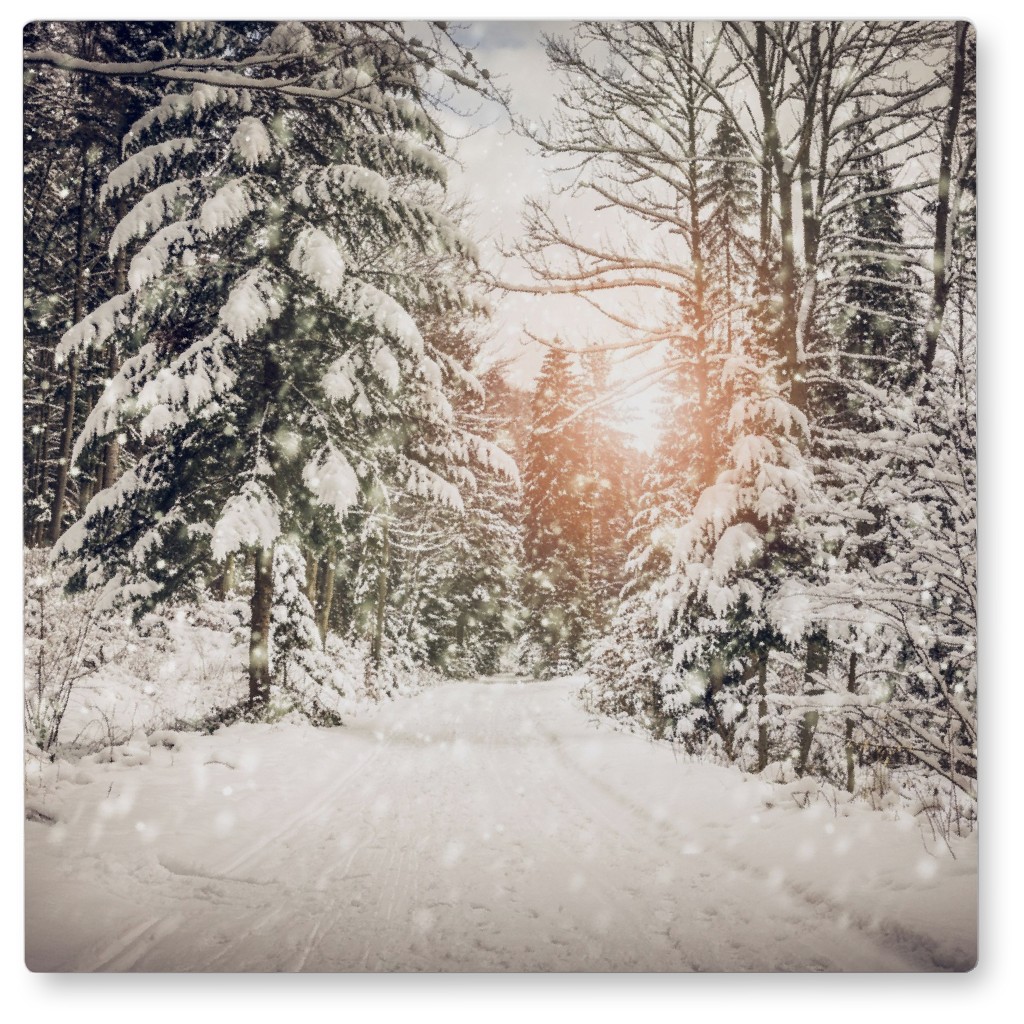 Snow Covered Road Photo Tile, Metal, 8x8, Gray