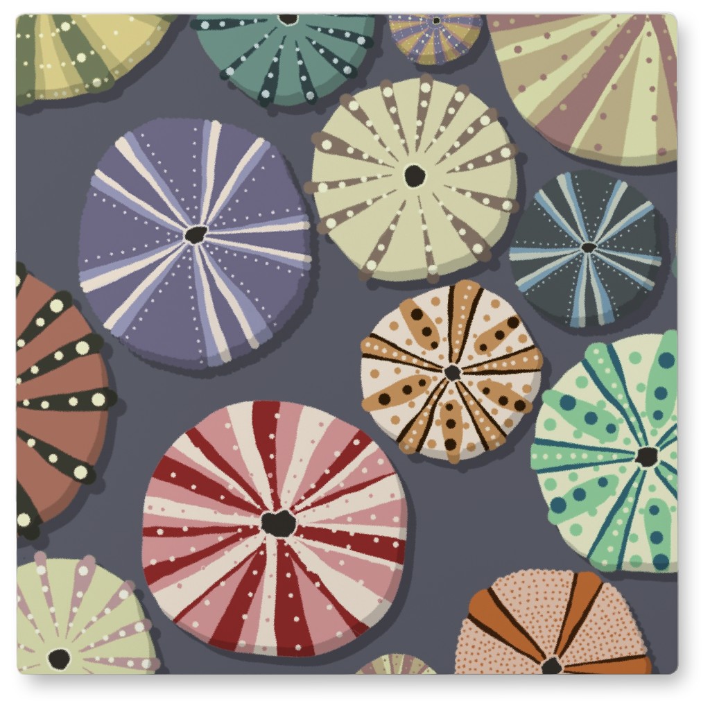 Sea Urchins - Multi Photo Tile, Metal, 8x8, Multicolor