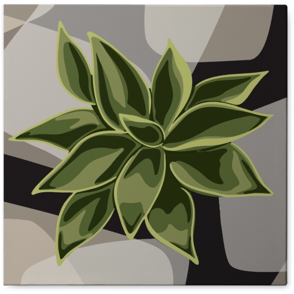 Modern Succulent - Green on Neutral Photo Tile, Canvas, 8x8, Green