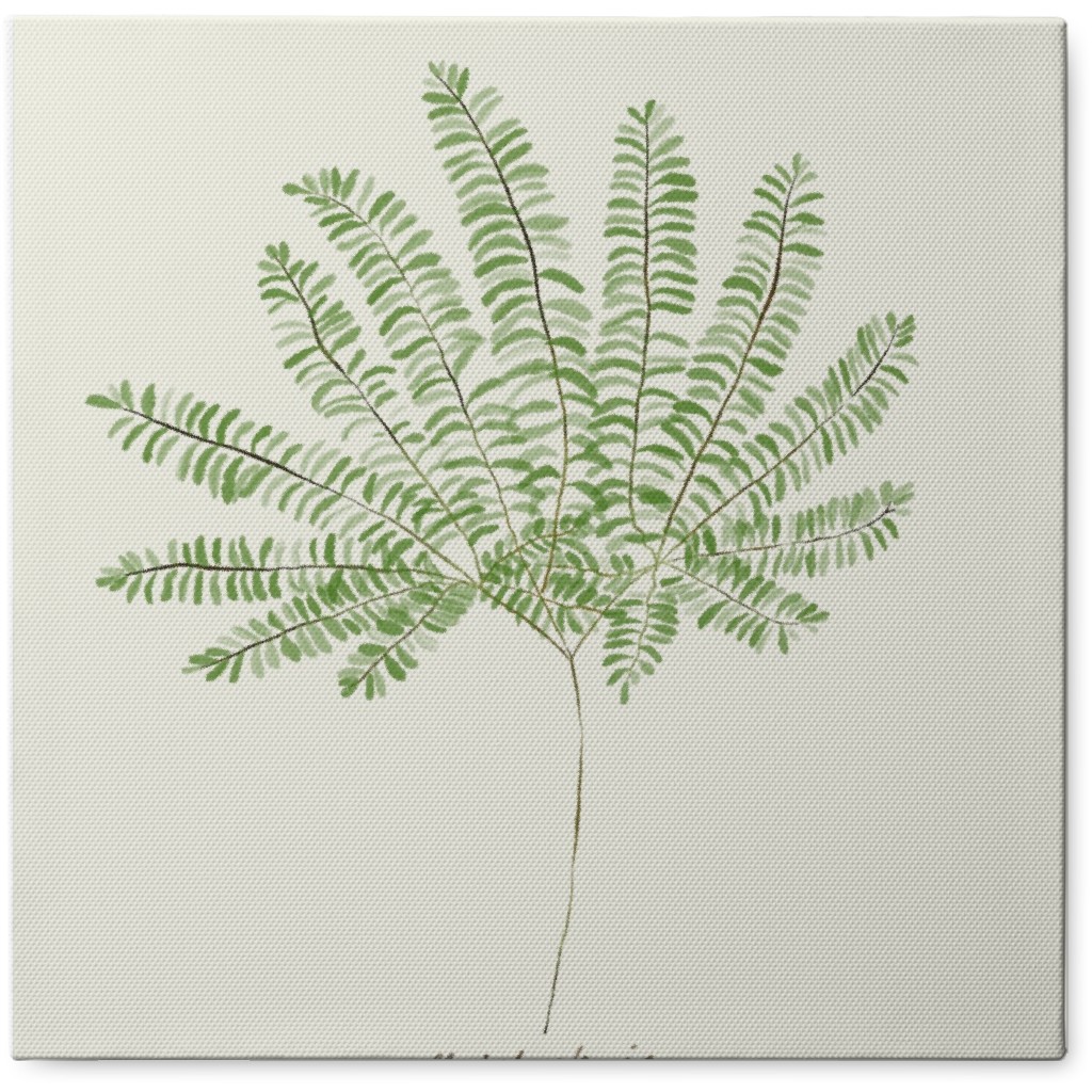 Maidenhair Fern - Green Photo Tile, Canvas, 8x8, Green