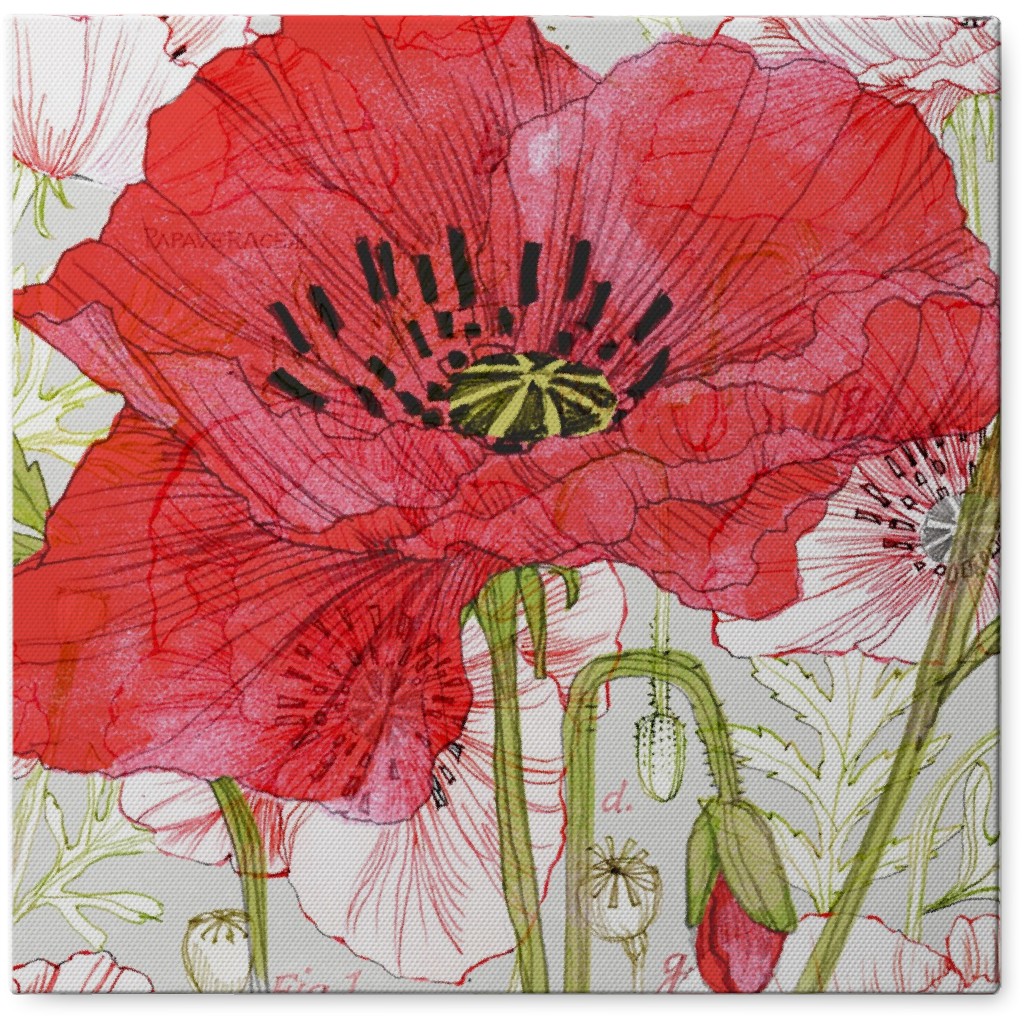 Poppies - Red Photo Tile, Canvas, 8x8, Red