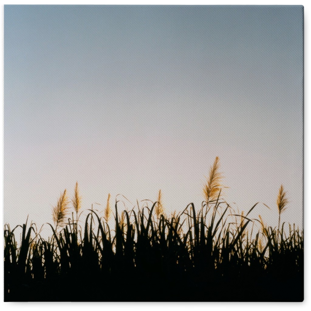 Grass Field Photo Tile, Canvas, 8x8, Multicolor