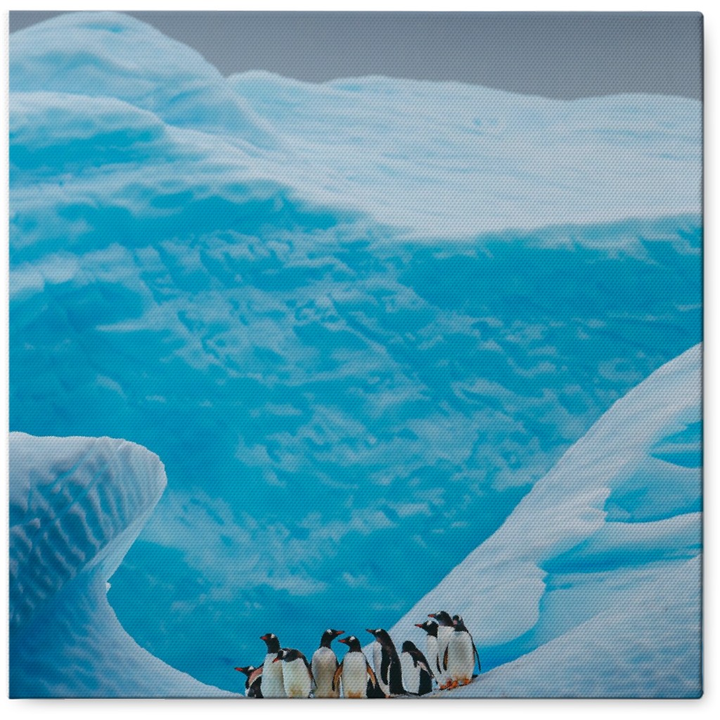 a Waddle of Penguins Photo Tile, Canvas, 8x8, Blue