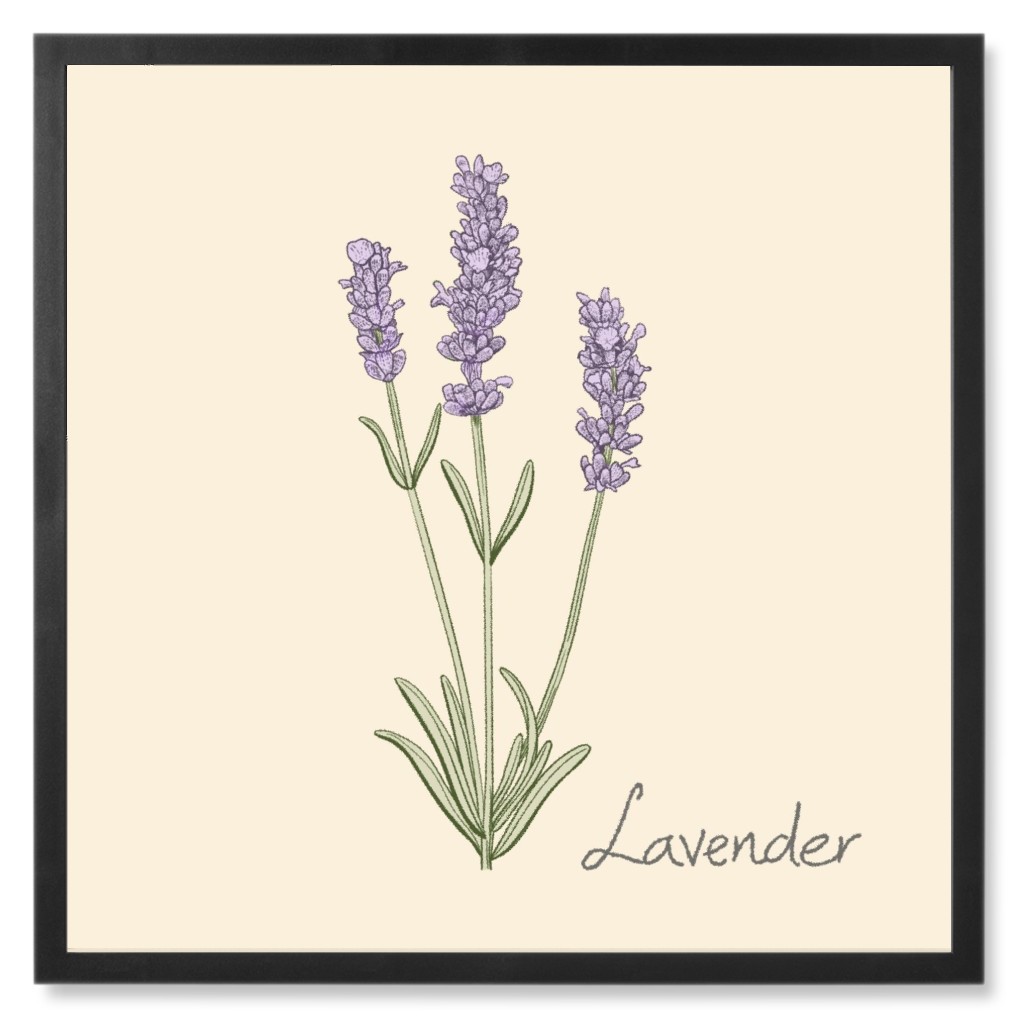 Lavender - Neutral Photo Tile, Black, Framed, 8x8, Beige