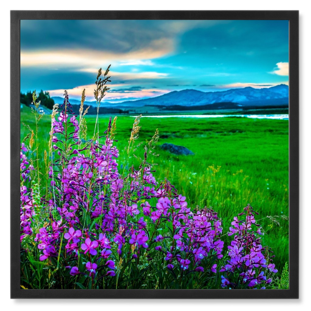 African Violets Photo Tile, Black, Framed, 8x8, Multicolor