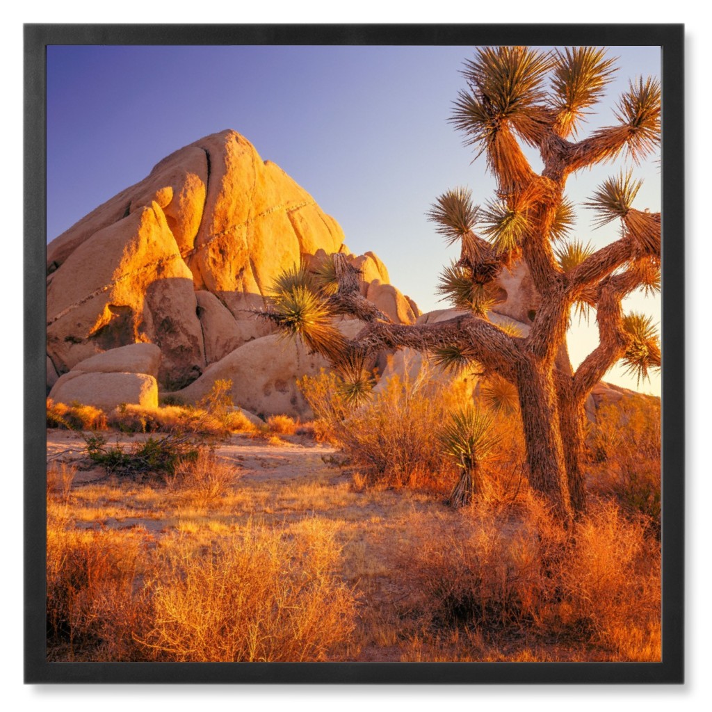 Rocks in Joshua Tree Photo Tile, Black, Framed, 8x8, Brown