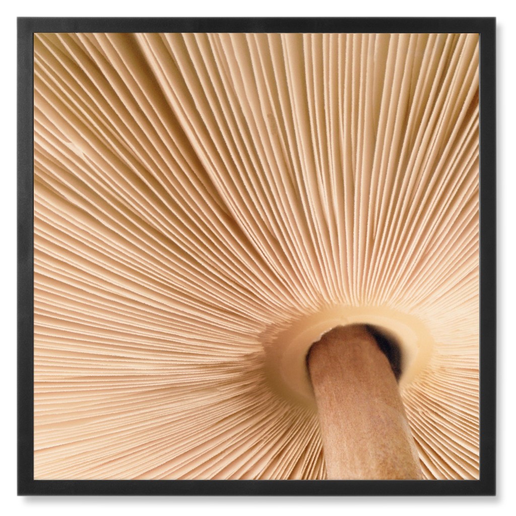 Micro Mushroom Photo Tile, Black, Framed, 8x8, Beige, Pearl