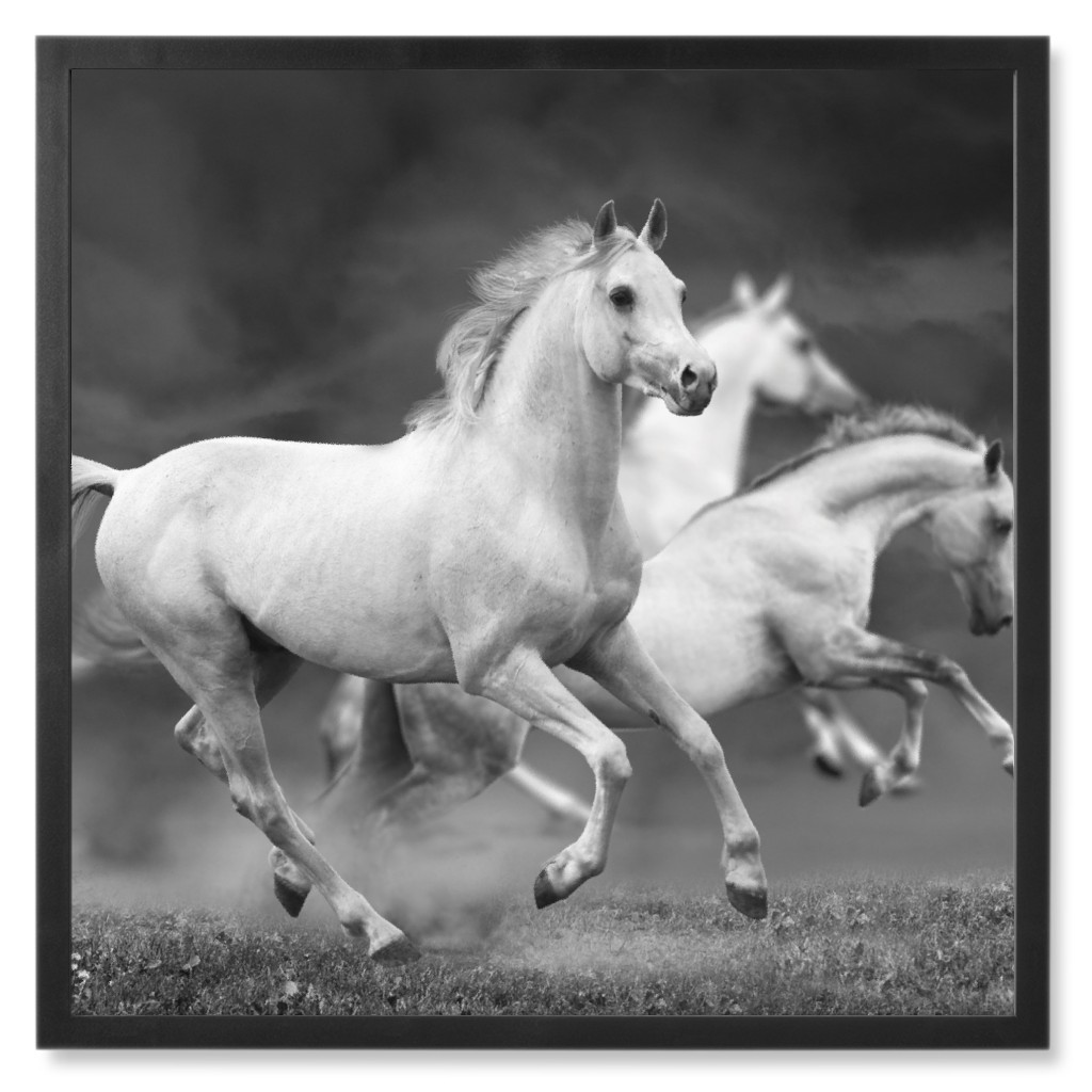 Running Horses - Black and White Photo Tile, Black, Framed, 8x8, Gray