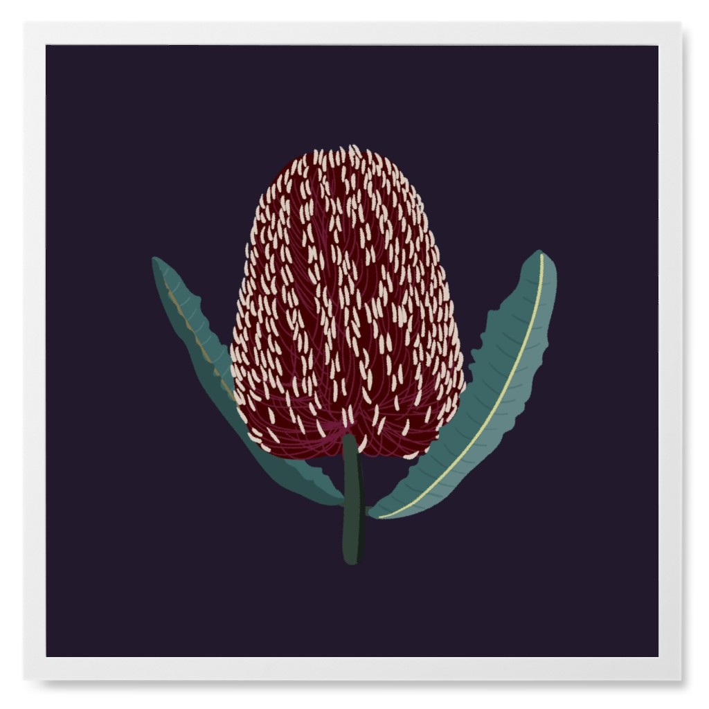 Banksia Floral - Black Photo Tile, White, Framed, 8x8, Black