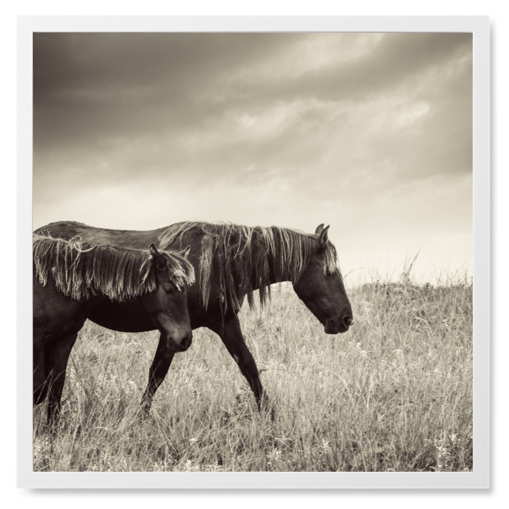 Two Horses in the Pasture Photo Tile, White, Framed, 8x8, Gray