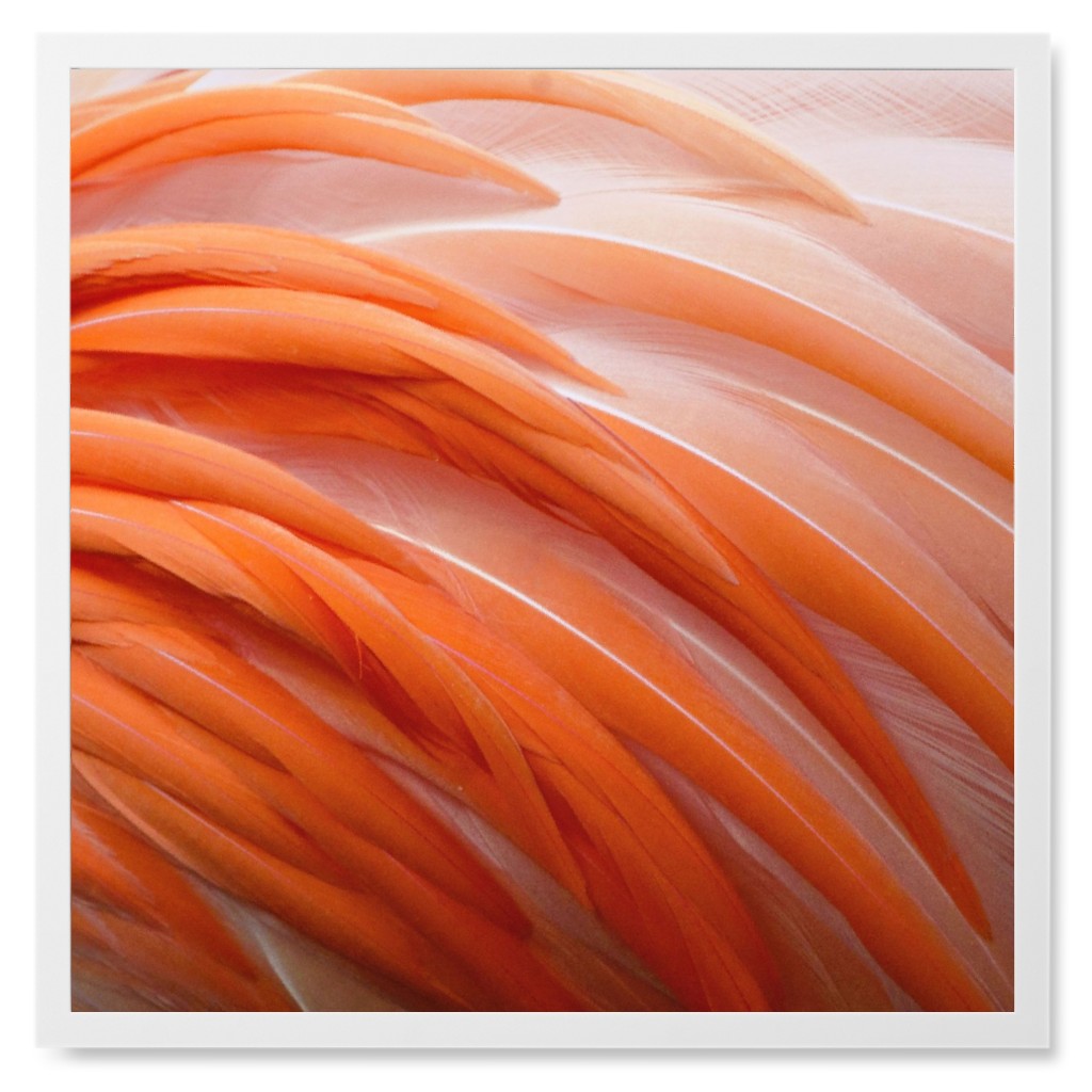 Flamingo Feathers Photo Tile, White, Framed, 8x8, Pink