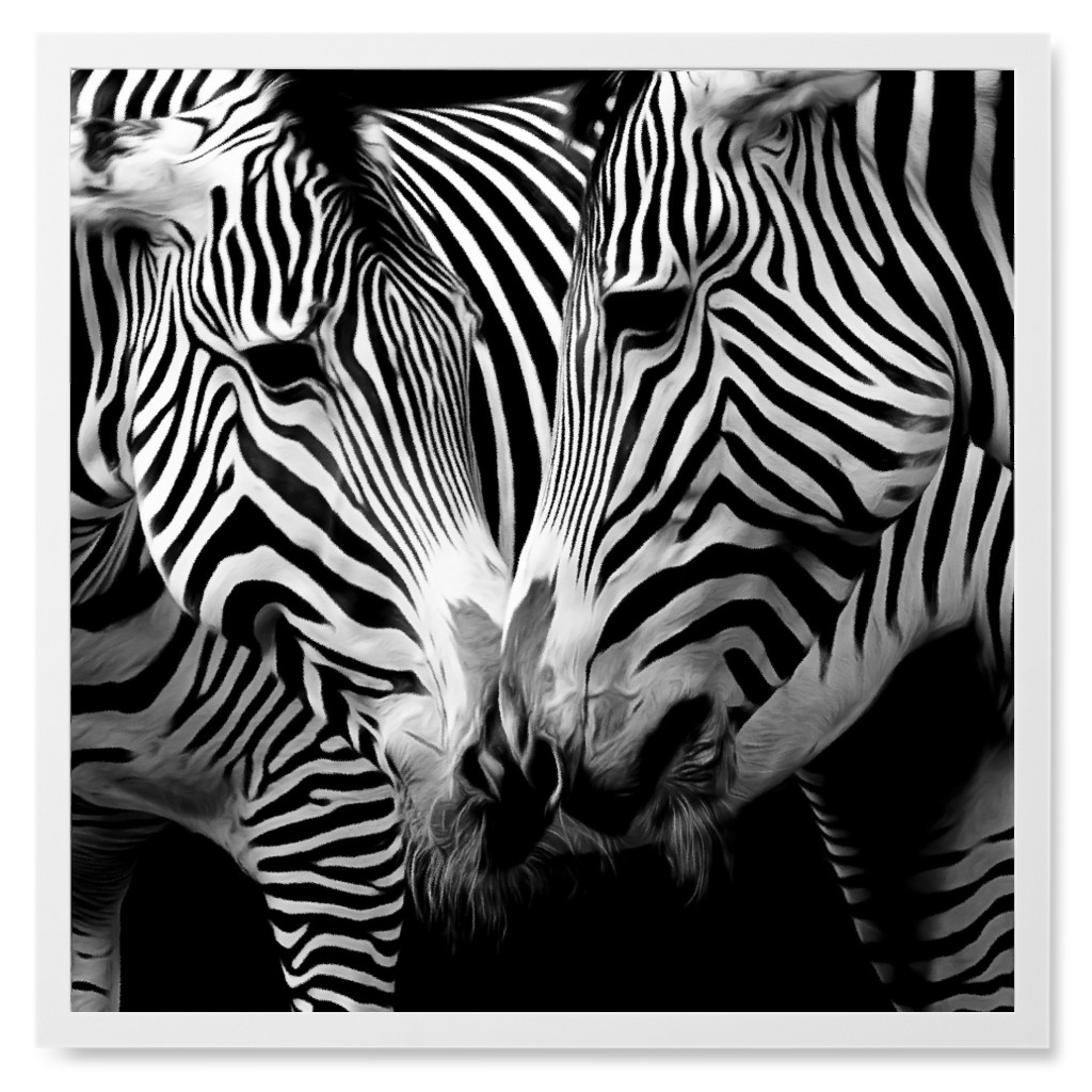 Zebra Nose Kiss Photo Tile, White, Framed, 8x8, Black