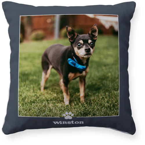 Gray Decorative Pillows
