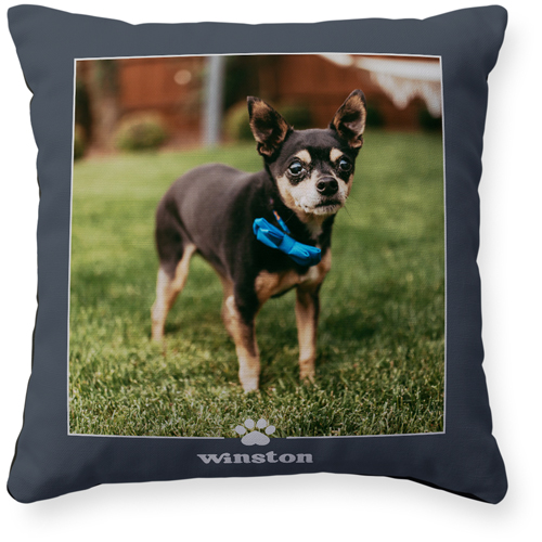 Paw Border Pillow, Woven, Black, 16x16, Single Sided, Gray, gray