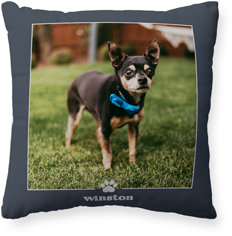 Paw Border