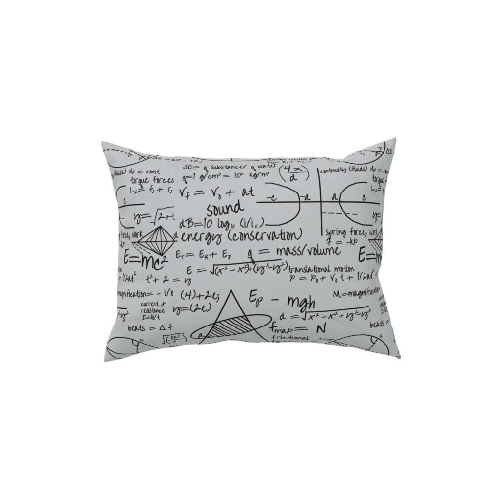 Common Equations Pillow, Woven, Beige, 12x16, Single Sided, Gray, Silver