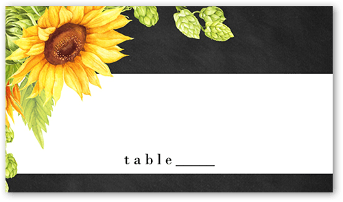 Sunny Celebration Wedding Place Card, Black, Placecard, Matte, Signature Smooth Cardstock, Black