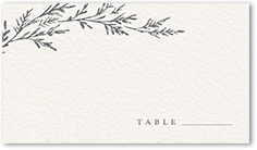 Buy Wedding Place Cards Online at Best Price – State of Elliott