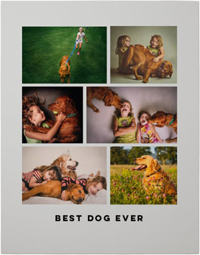 Gallery of Six Premium Poster, Multicolor, multi