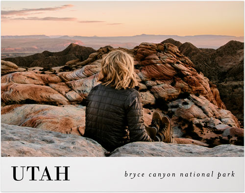 Gallery of One Banner Premium Poster, Multicolor, multi