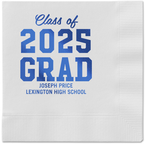 Blue And White Cloth Napkins