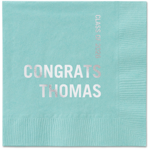 Bold Acclaim Napkin, Grey, Aqua, silver