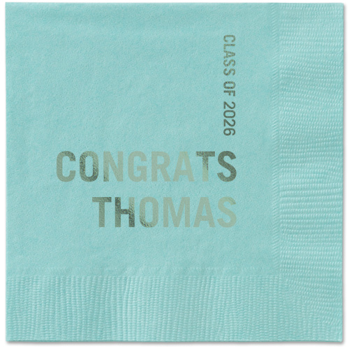 Bold Acclaim Napkin, Green, Aqua, sage