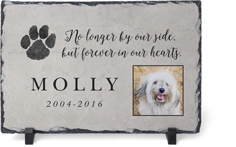 forever in our heart slate plaque