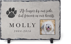Forever in Our Heart