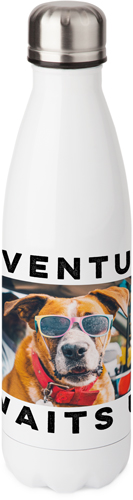 Adventure Awaits Stainless Steel Water Bottle, 17oz, Stainless Steel Water Bottle, White