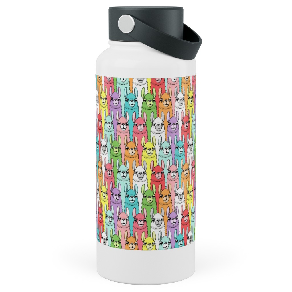 Rainbow Llamas - Multi Stainless Steel Wide Mouth Water Bottle, 30oz, Wide Mouth, Multicolor