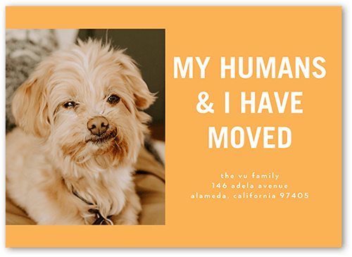 My Humans Moving Announcement, Orange, 5x7 Flat, Write Your Own, Luxe Double-Thick Cardstock, Square