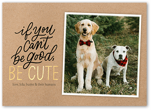 Framed Cute Holiday Card, Beige, 5x7 Flat, Holiday, Luxe Double-Thick Cardstock, Square