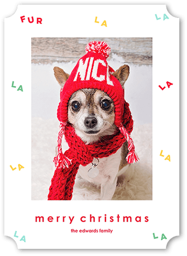 Musical Dog Holiday Card, White, 5x7 Flat, Christmas, Matte, Signature Smooth Cardstock, Ticket