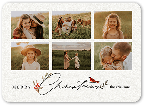 Bird and Holly Berry Holiday Card, White, 5x7 Flat, Christmas, Pearl Shimmer Cardstock, Rounded