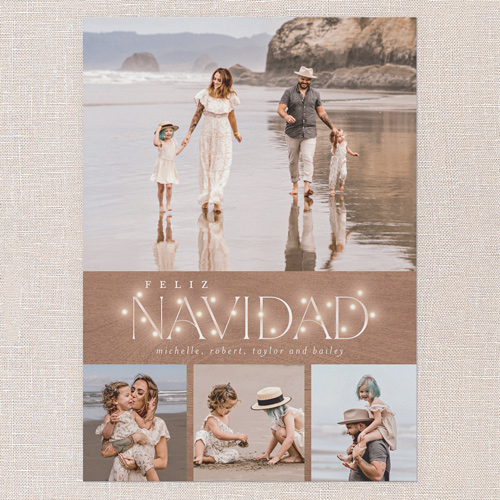 Rustic Bulbs Holiday Card, Brown, 5x7 Flat, Feliz Navidad, Luxe Double-Thick Cardstock, Square, Brown