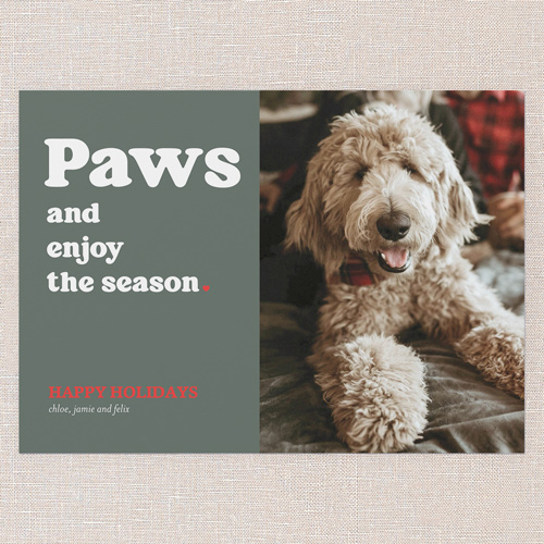 Paws Holiday Card, Green, 5x7 Flat, Holiday, Matte, Signature Smooth Cardstock, Square, Forest