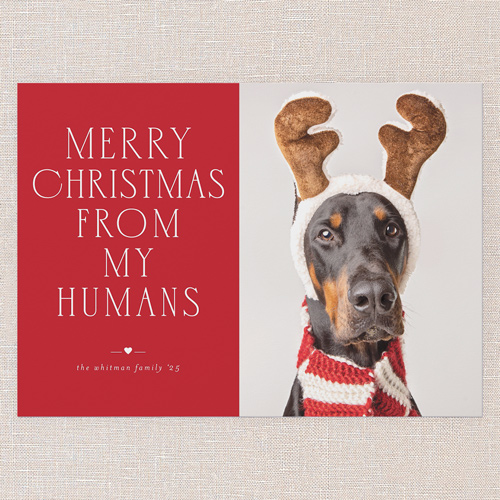 Festive Humans Holiday Card, Red, 5x7 Flat, Christmas, Pearl Shimmer Cardstock, Square, Radish