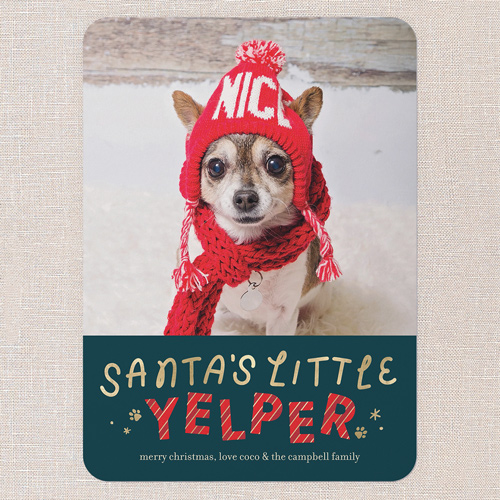 Yelper Cheer Holiday Card, Green, 5x7 Flat, Christmas, Standard Smooth Cardstock, Rounded, Pine Grove